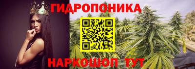 PSILOCYBIN Новодвинск