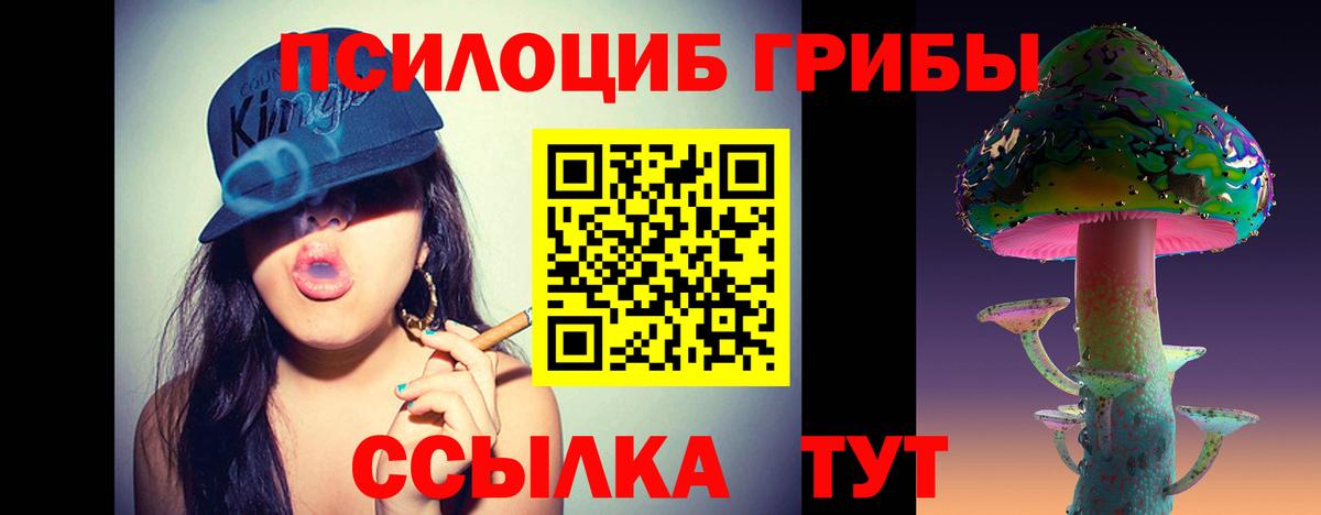Псилоцибиновые грибы мухоморы  Галлюциногенные грибы Cubensis  Севастополь  Вход с VPN 